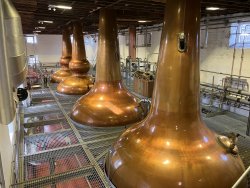 Bladnoch stillhouse